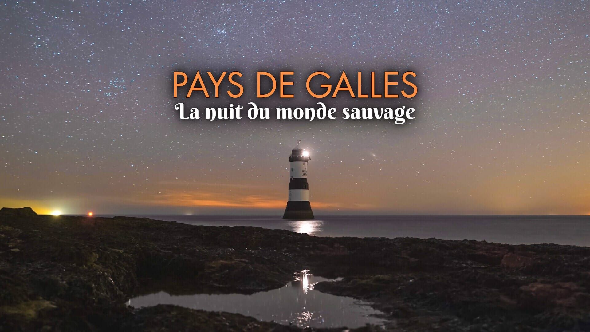 Vignette du programme télé Pays de Galles : La nuit du monde sauvage