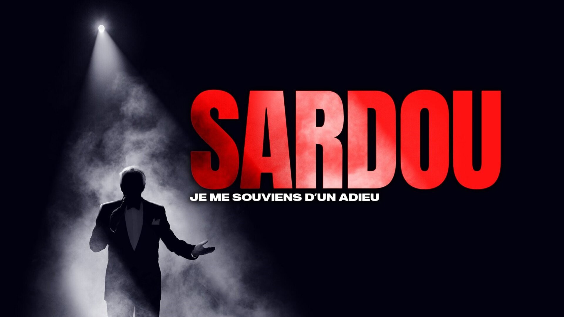 Vignette du programme télé Michel Sardou : je me souviens d'un adieu