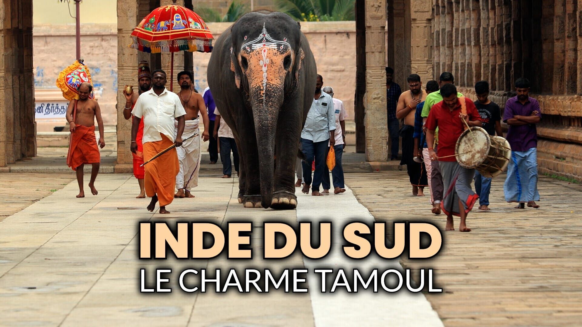 Vignette du programme télé Inde du Sud, le charme Tamoul