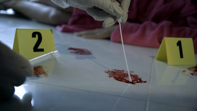 Vignette du programme télé Indices *2025