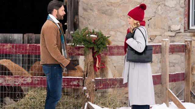 Vignette du programme télé Un Noël tout doux