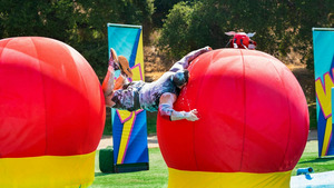 Vignette du programme télé Total Wipeout S9