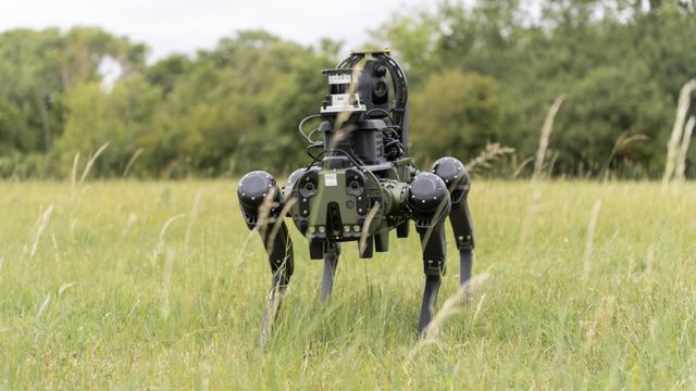 Vignette du programme télé Le journal de la Défense
