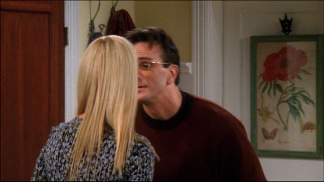 Vignette du programme télé Friends - Saison 9