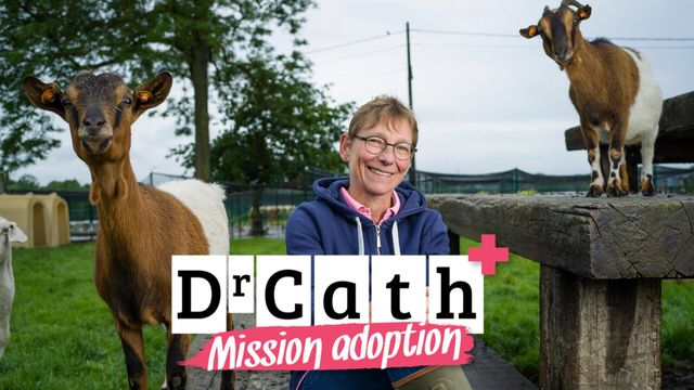 Vignette du programme télé Dr Cath : Mission adoption