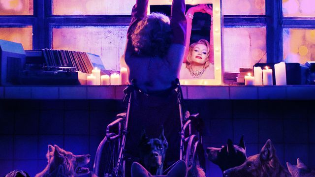 Vignette du programme télé DogMan