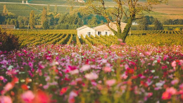 Vignette du programme télé M comme Maison