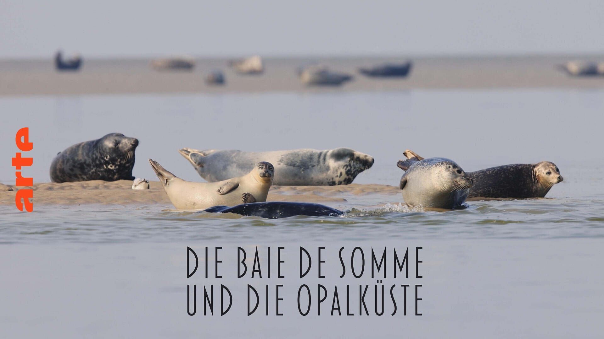 Vignette du programme télé La France côté Nord