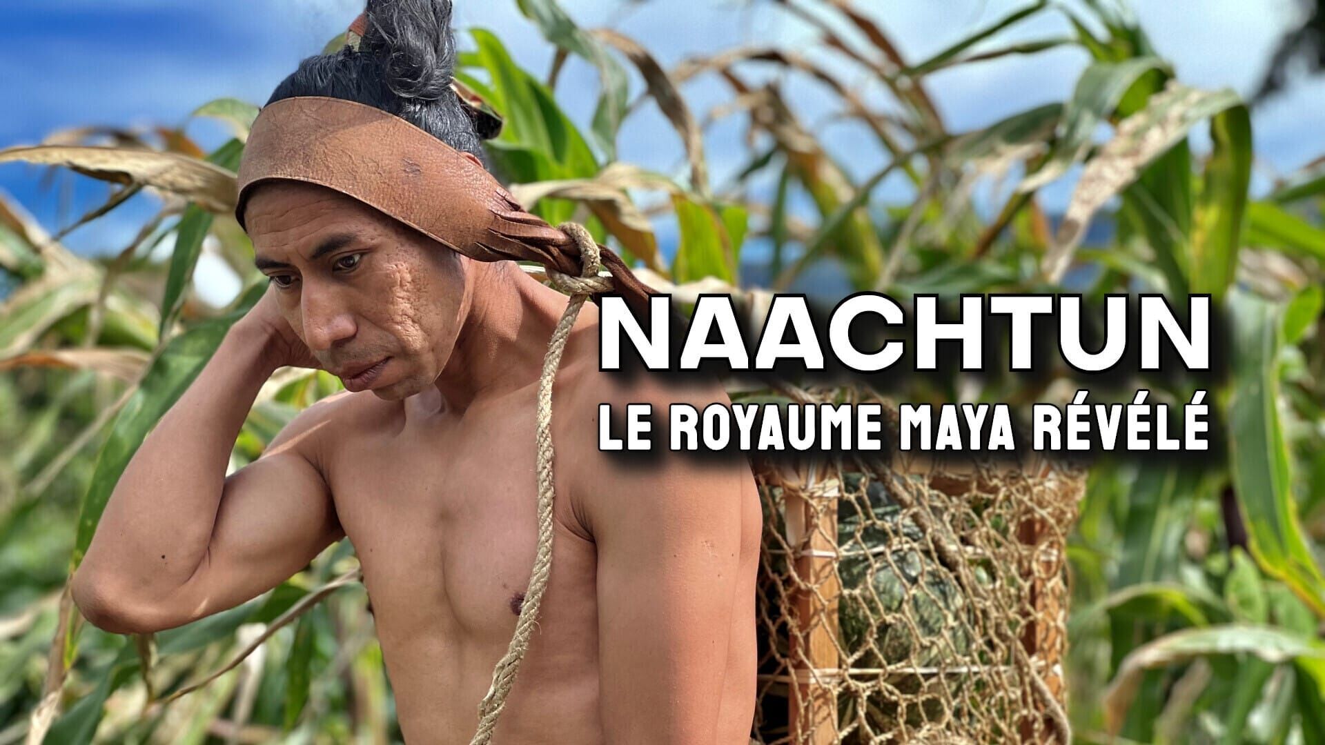 Vignette du programme télé Naachtun, le royaume maya révélé
