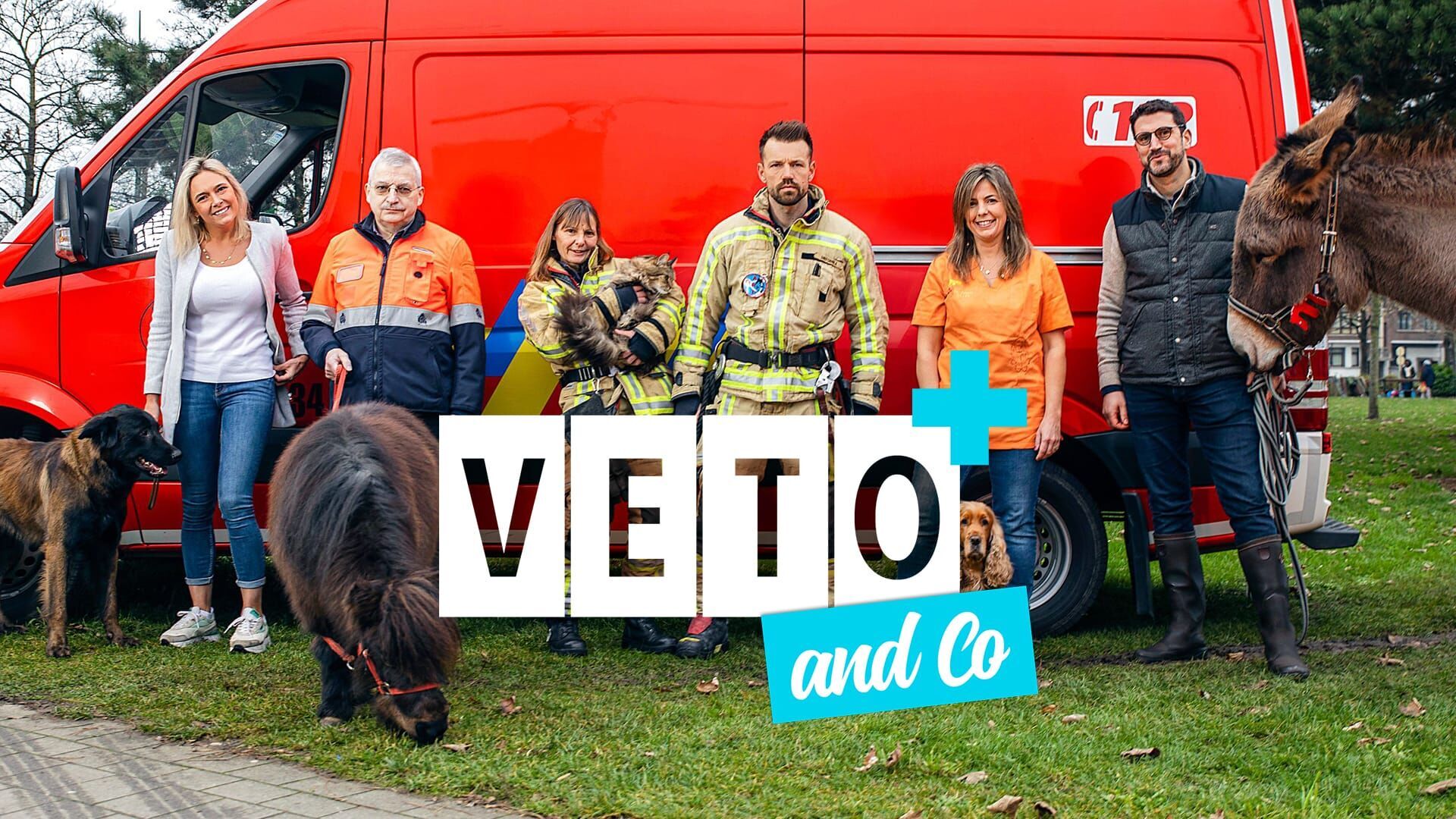 Vignette du programme télé Véto & Co