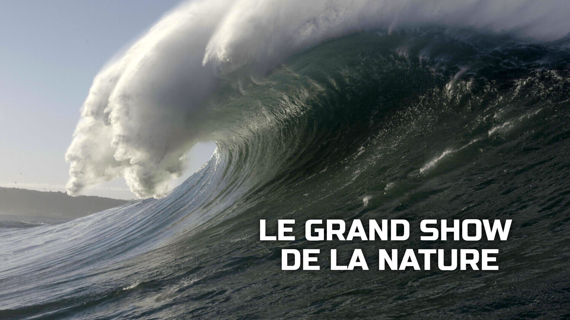 Vignette du programme télé Le grand show de la nature