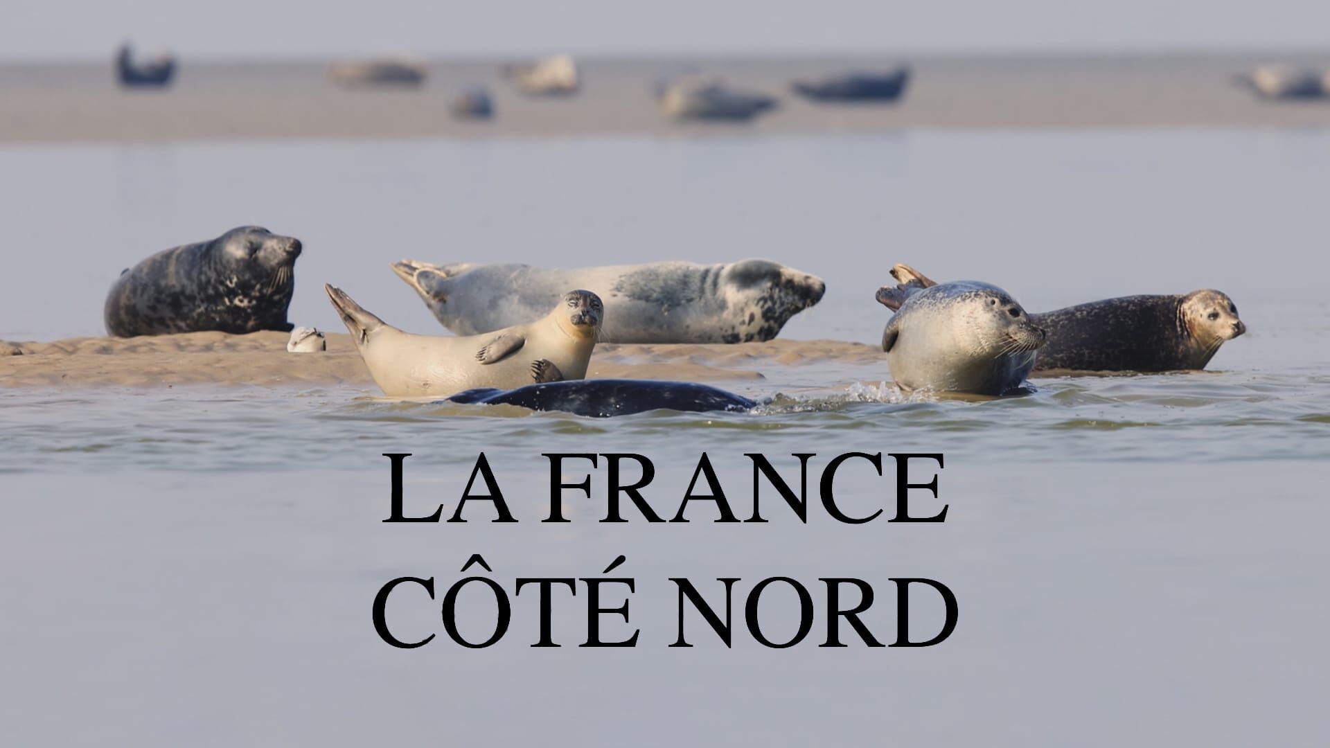 Vignette du programme télé La France côté Nord