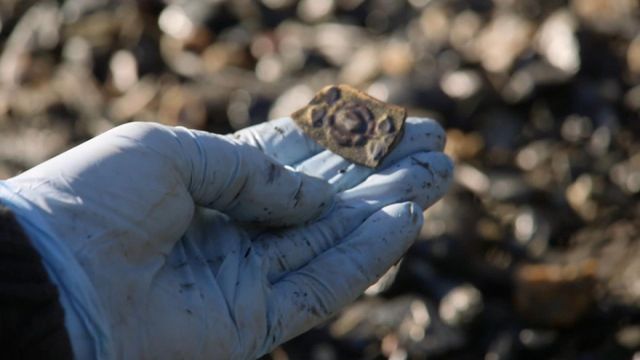 Vignette du programme télé Le mystère d'Oak Island - Saison 5