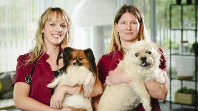 Vignette du programme télé Véto &amp; Co