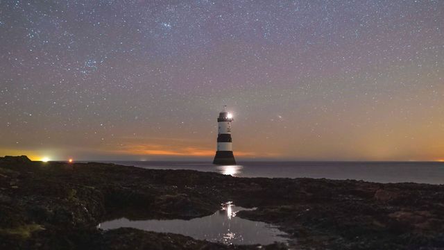 Vignette du programme télé Pays de Galles : La nuit du monde sauvage
