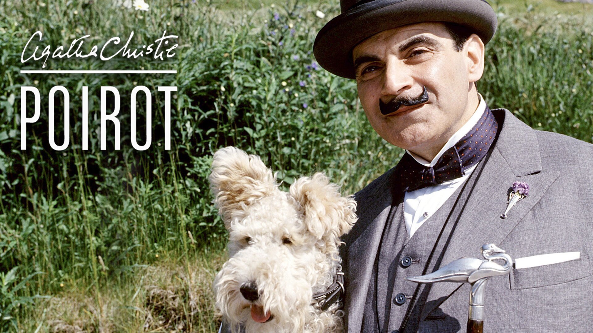 Vignette du programme télé Hercule Poirot