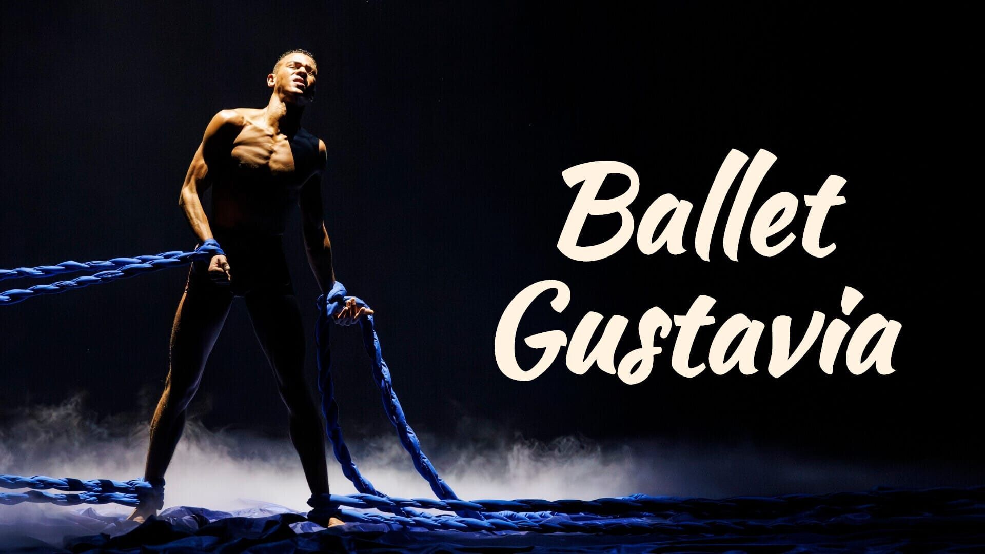 Vignette du programme télé Gustavia, l'histoire du prince de Suède inconnu