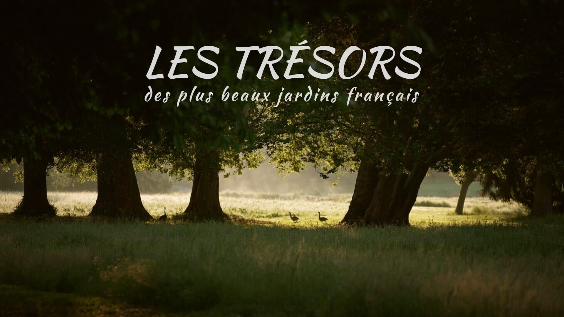 Vignette du programme télé Les trésors des plus beaux jardins français