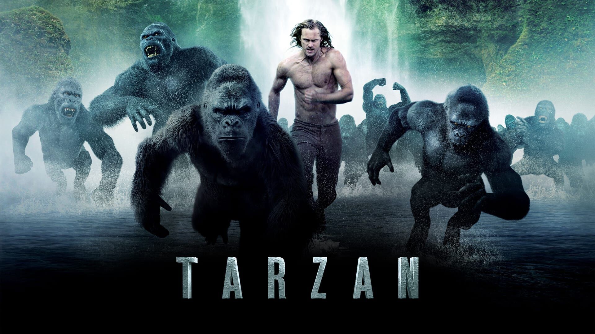 Vignette du programme télé Tarzan