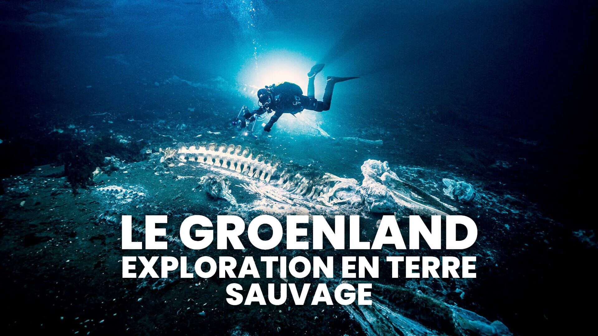 Vignette du programme télé Le Groenland : exploration en terre sauvage
