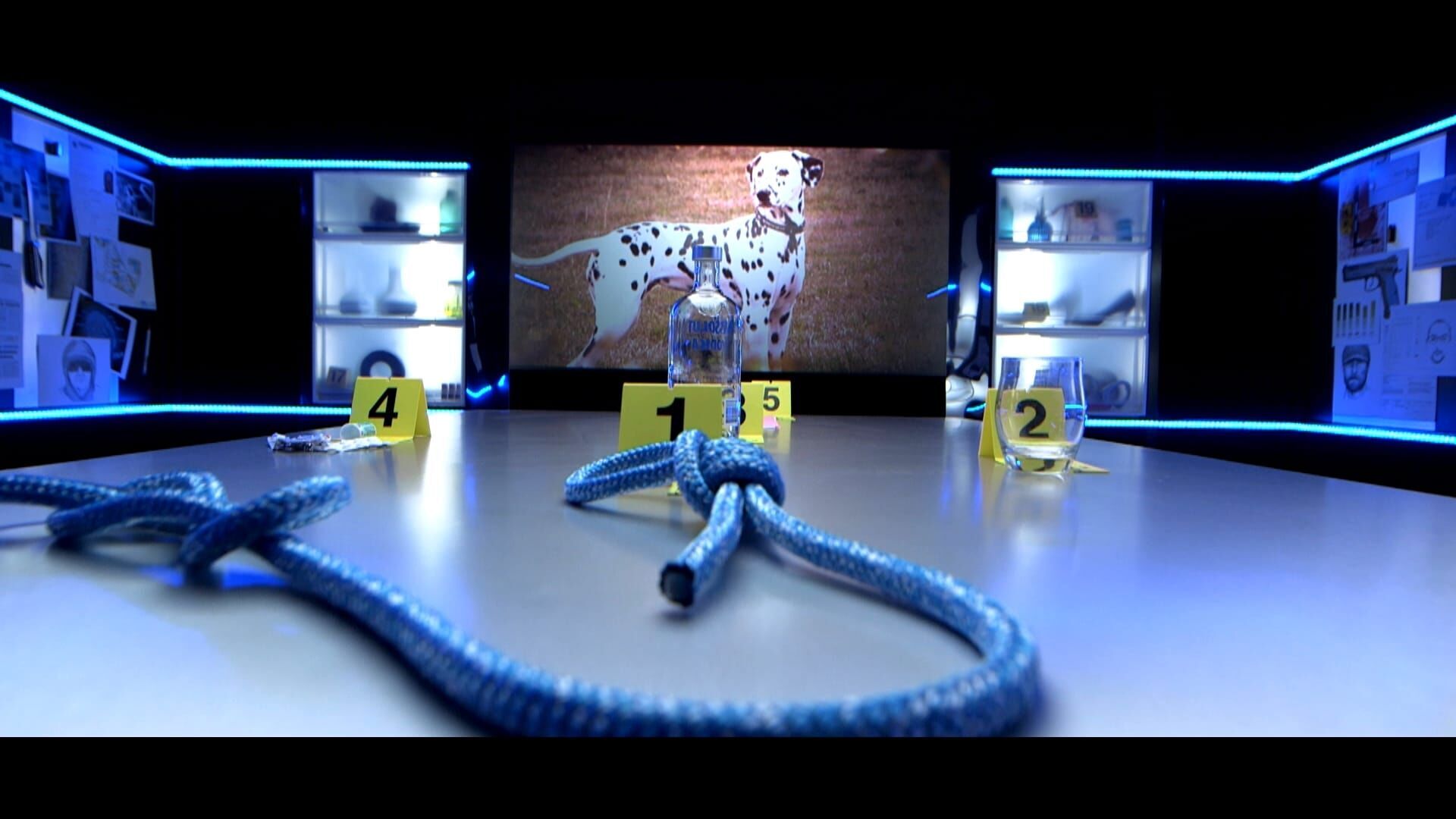 Vignette du programme télé Indices