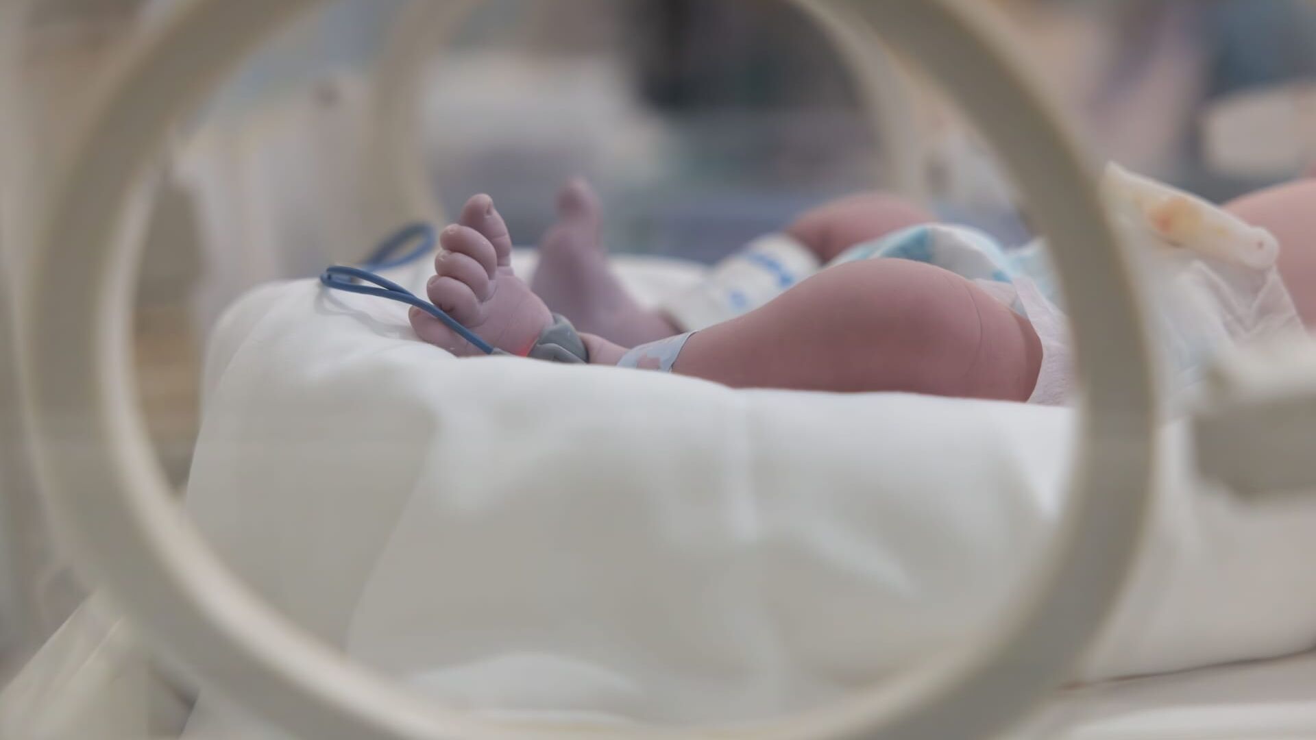 Vignette du programme télé 100 jours à la maternité