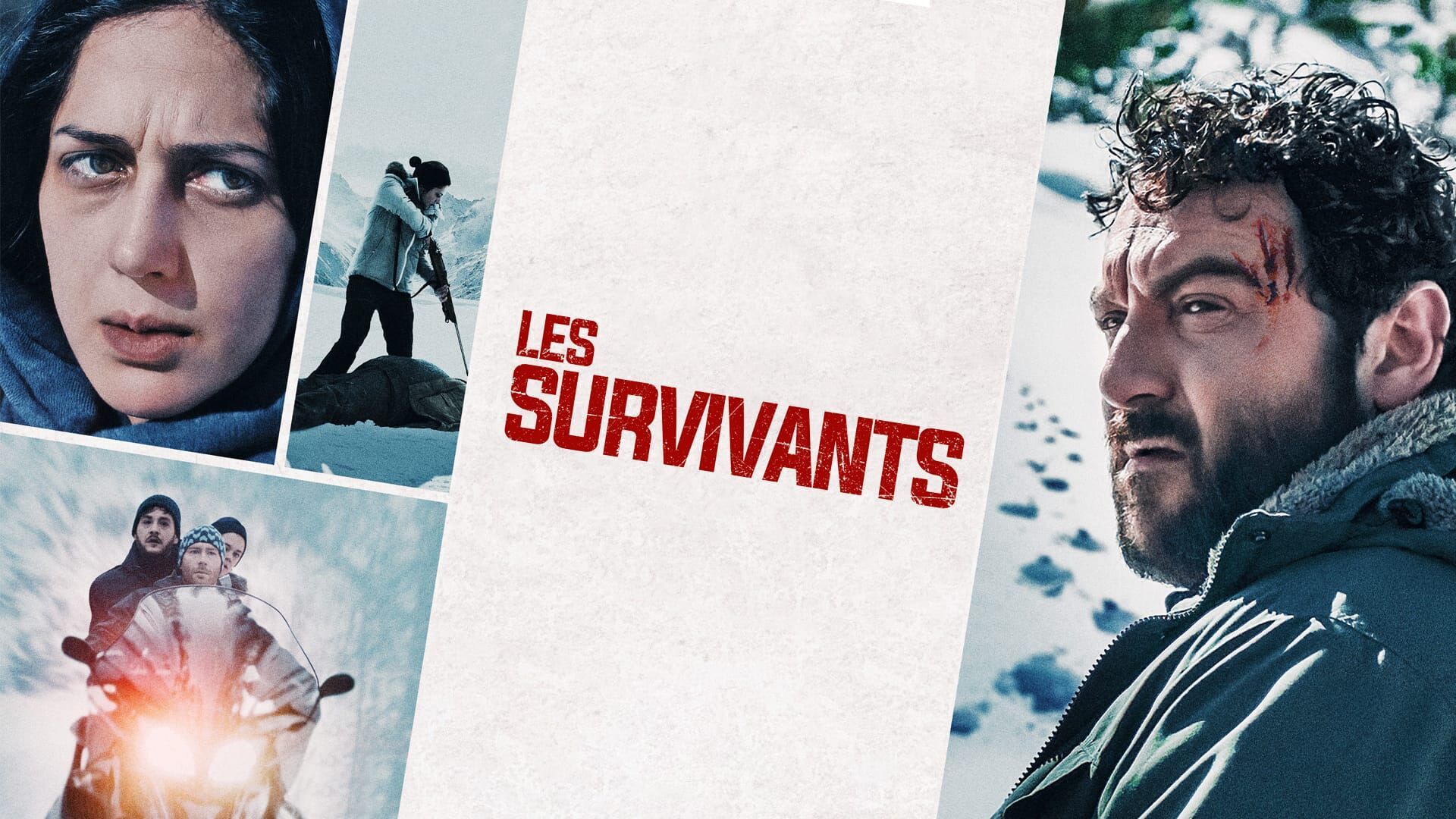 Vignette du programme télé Les Survivants
