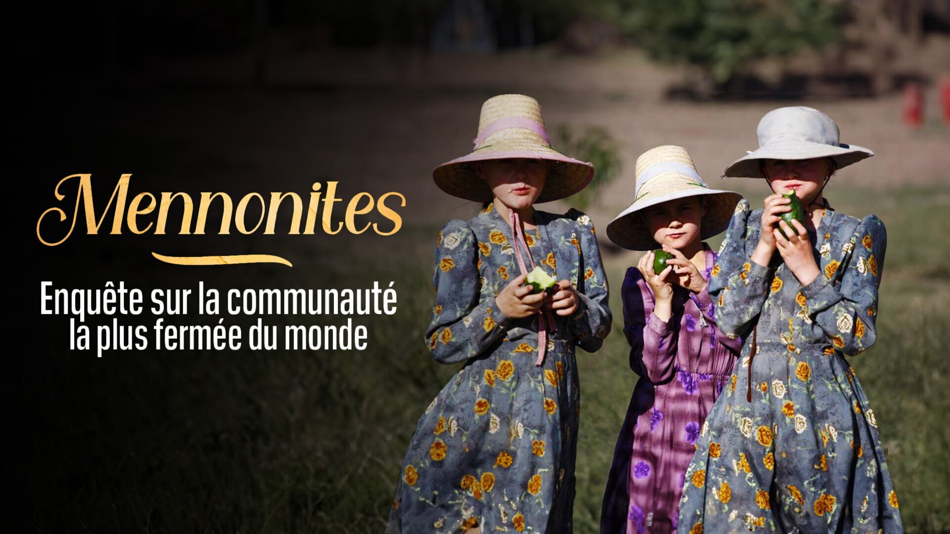 Vignette du programme télé Mennonites : enquête sur la communauté la plus fermée du monde