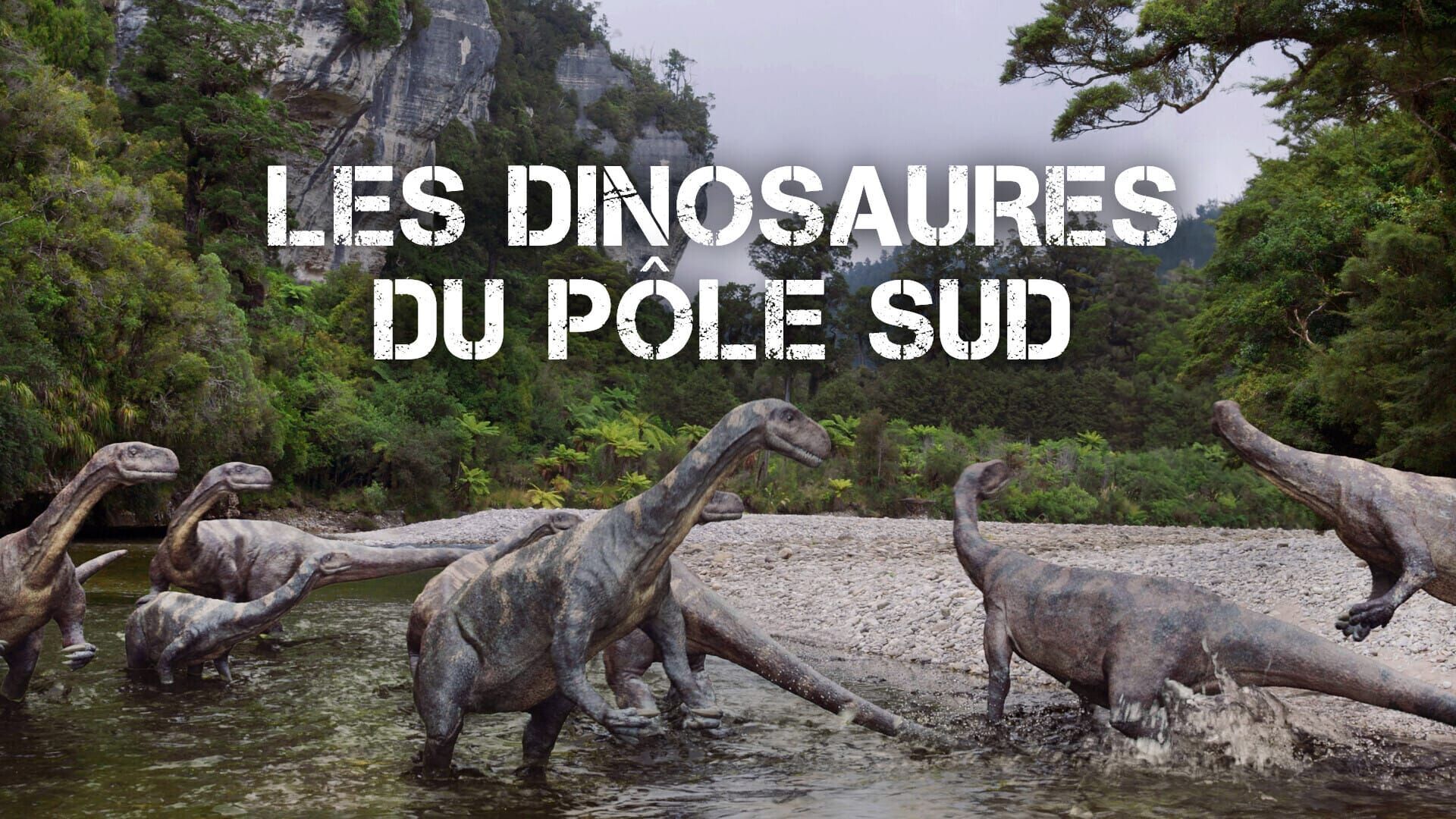 Vignette du programme télé Les dinosaures du Pôle Sud
