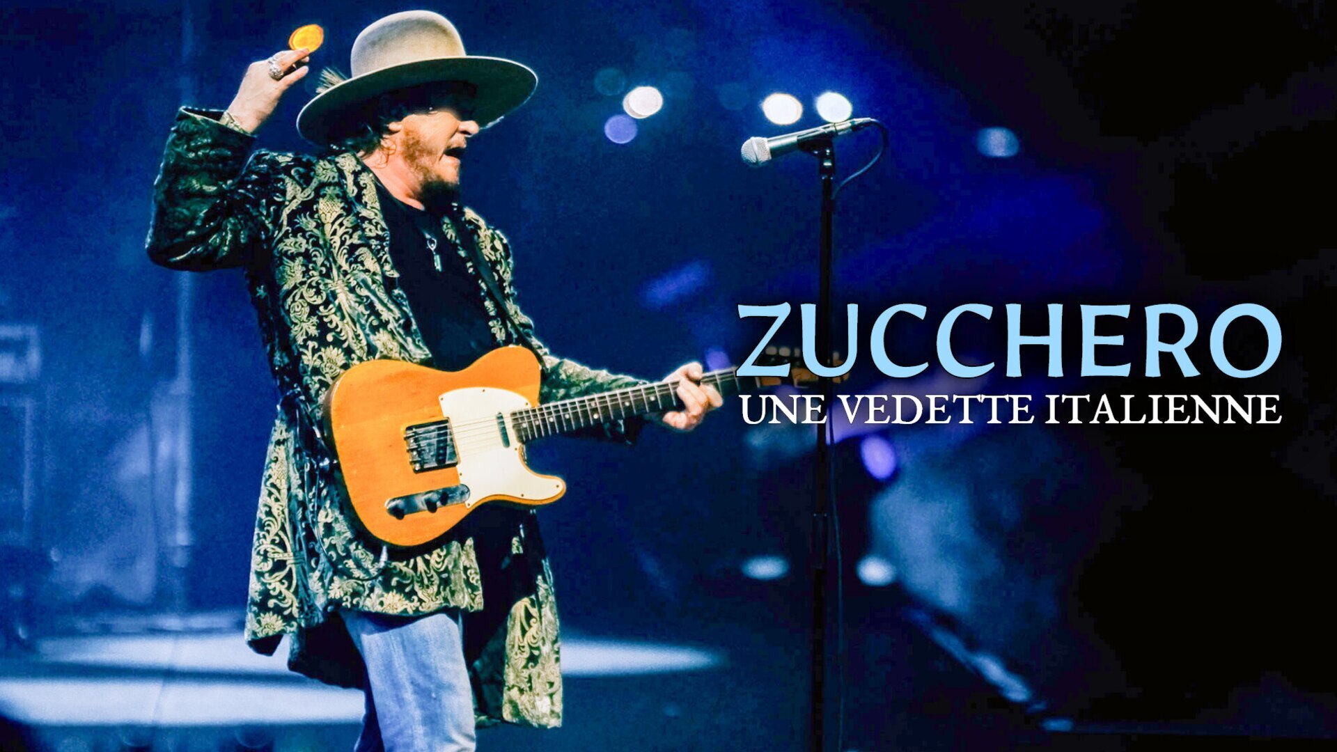 Vignette du programme télé Zucchero : Une vedette italienne