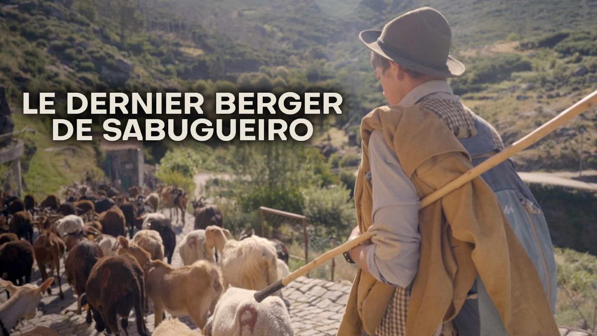 Vignette du programme télé Le dernier berger de Sabugueiro
