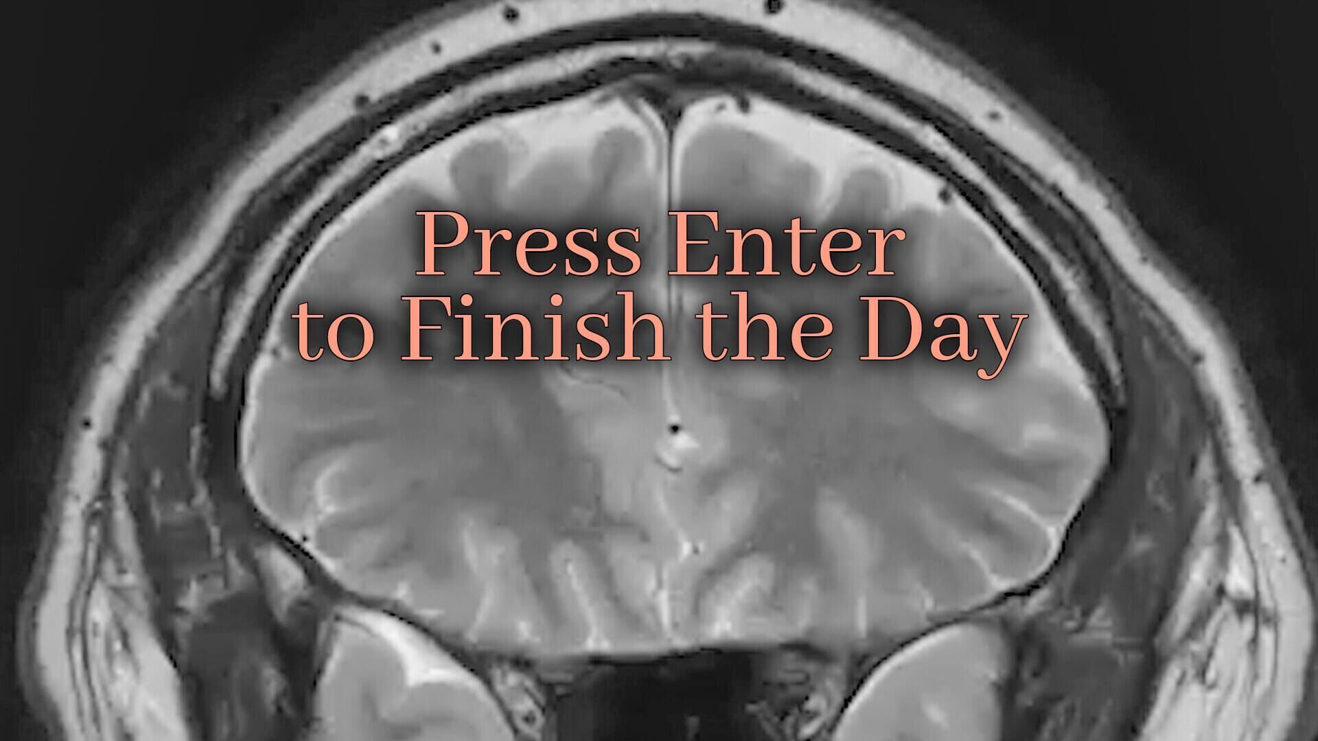 Vignette du programme télé Press Enter to Finish the Day