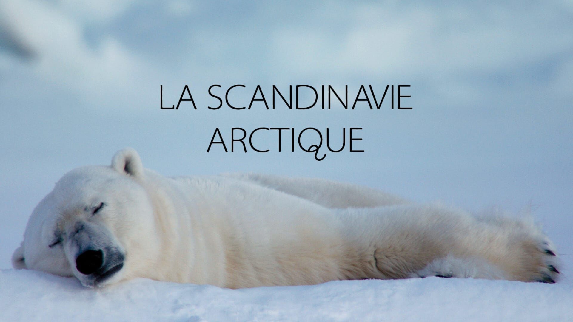 Vignette du programme télé La Scandinavie arctique