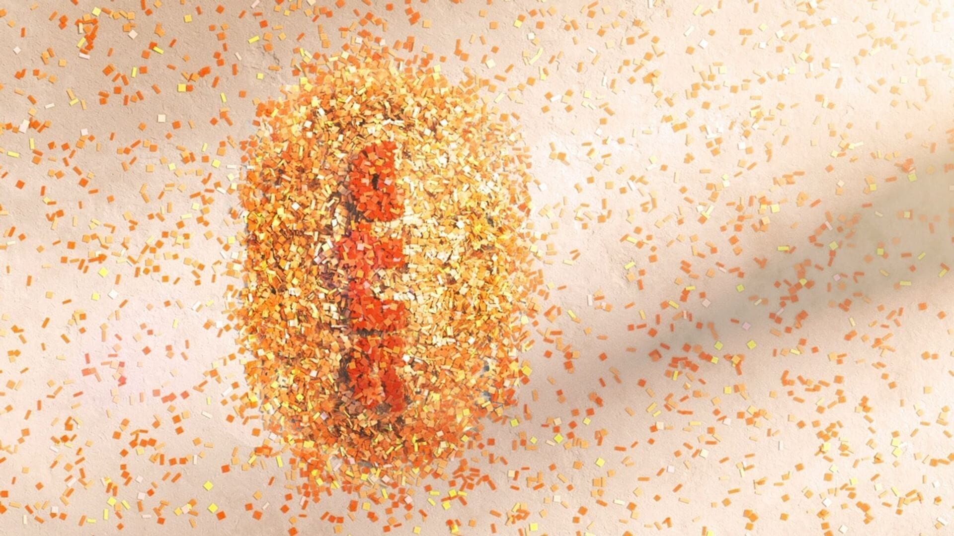 Vignette du programme télé Invitation au voyage