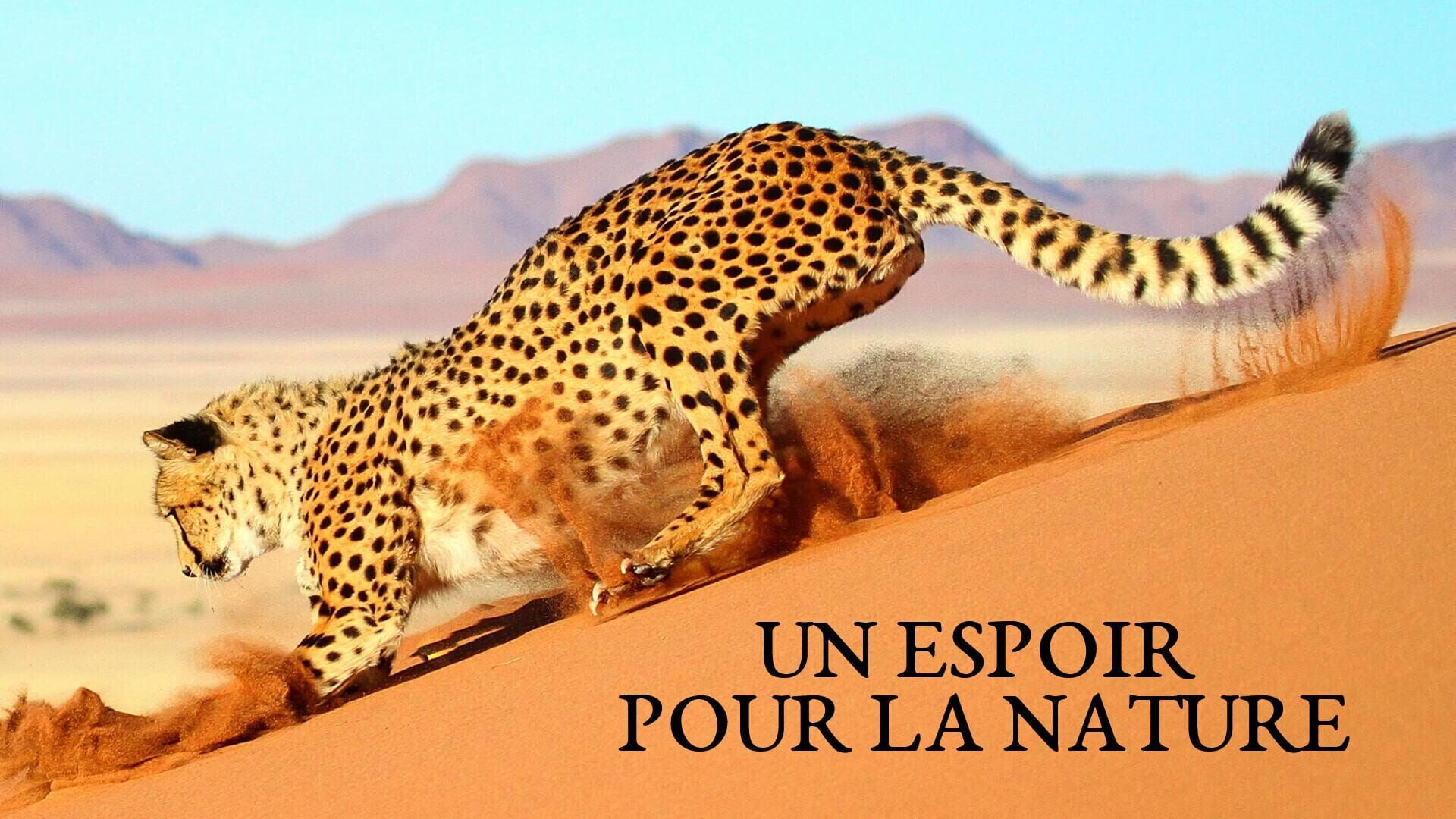 Vignette du programme télé Un espoir pour la nature