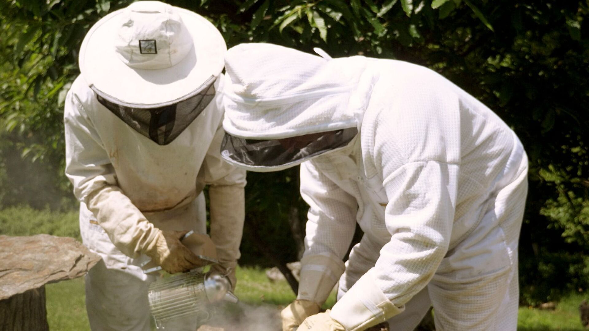 Vignette du programme télé Les maîtres des abeilles