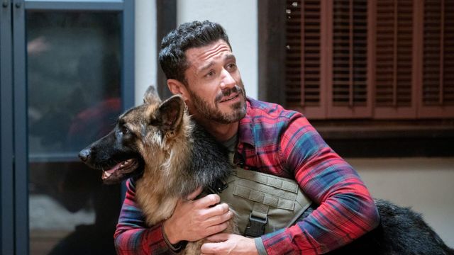 Vignette du programme télé Opération Joyeux Noël