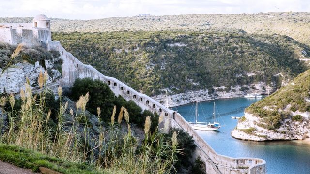 Vignette du programme télé Les carnets de Julie