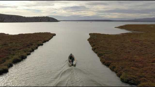 Vignette du programme télé Les carnets de Julie