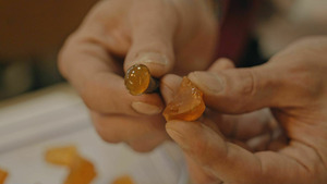 Vignette du programme télé Reportages découverte