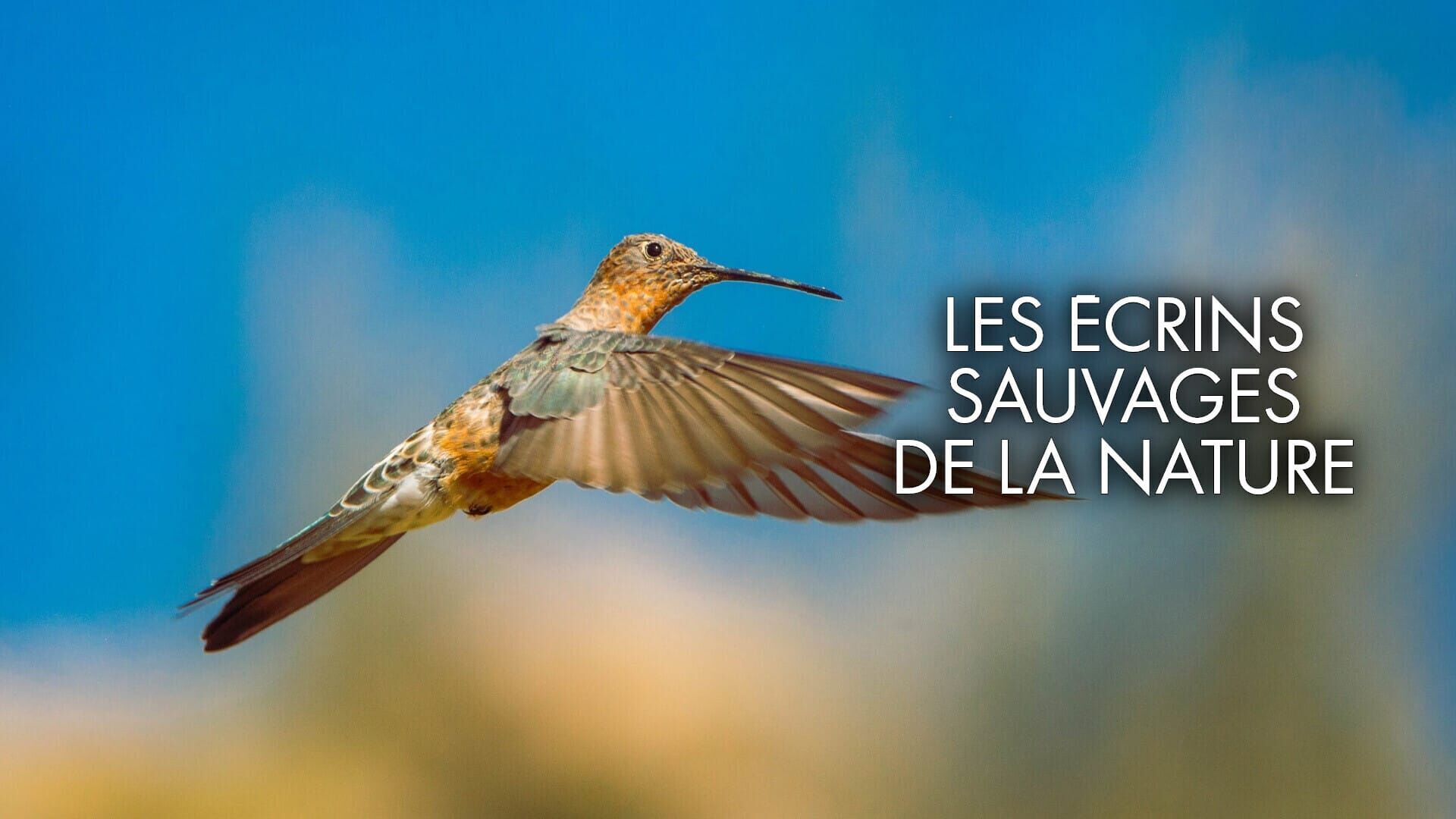 Vignette du programme télé Les écrins sauvages de la nature
