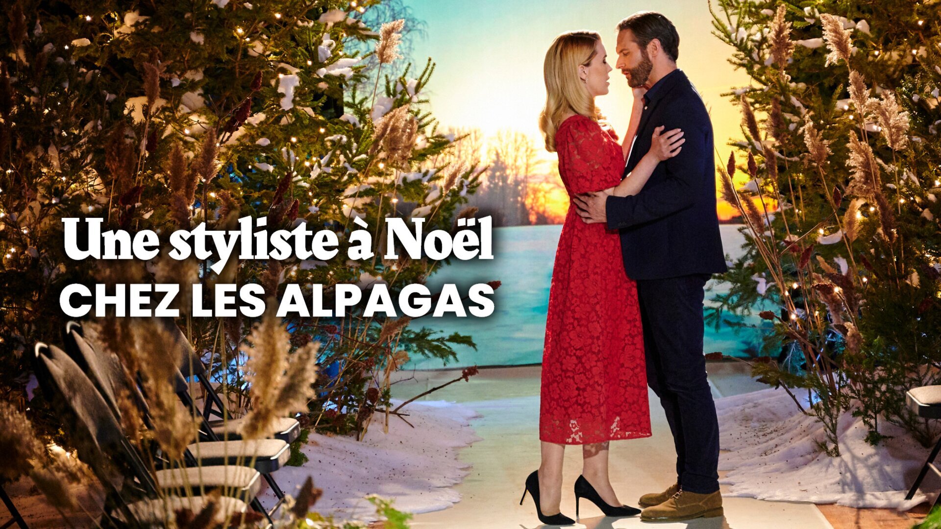 Vignette du programme télé Un Noël tout doux