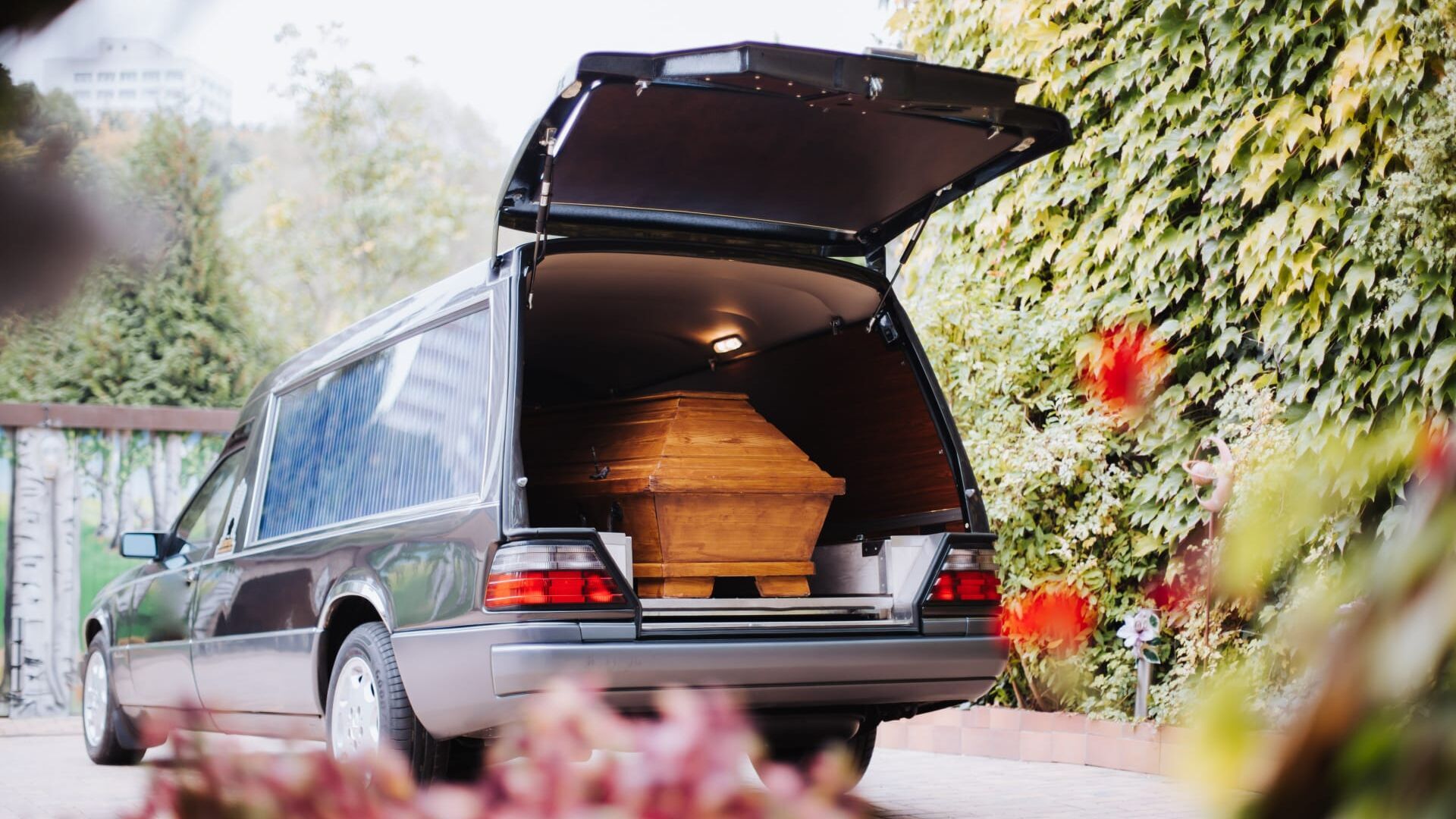 Vignette du programme télé Paradise travel