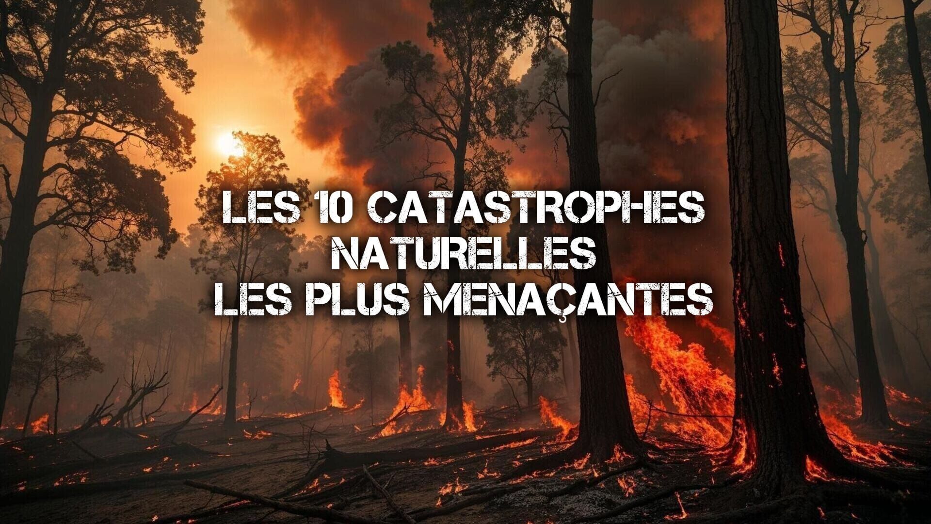 Vignette du programme télé Les 10 catastrophes naturelles les plus menaçantes