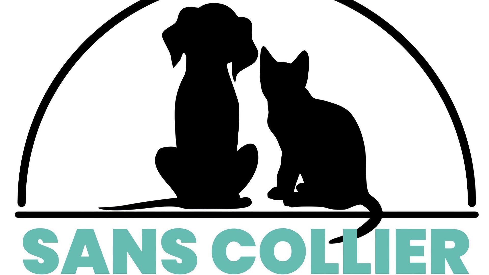 Vignette du programme télé Sans collier