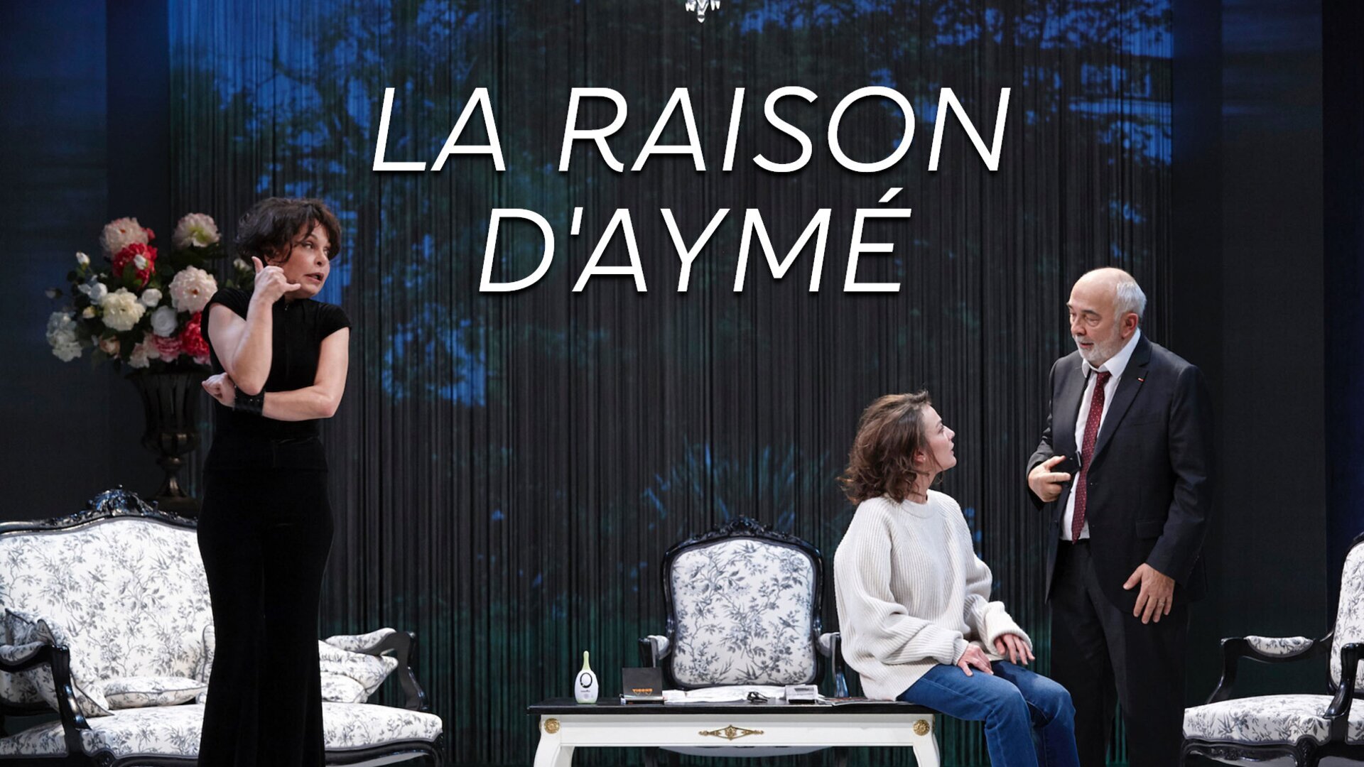Vignette du programme télé La Raison d'Aymé