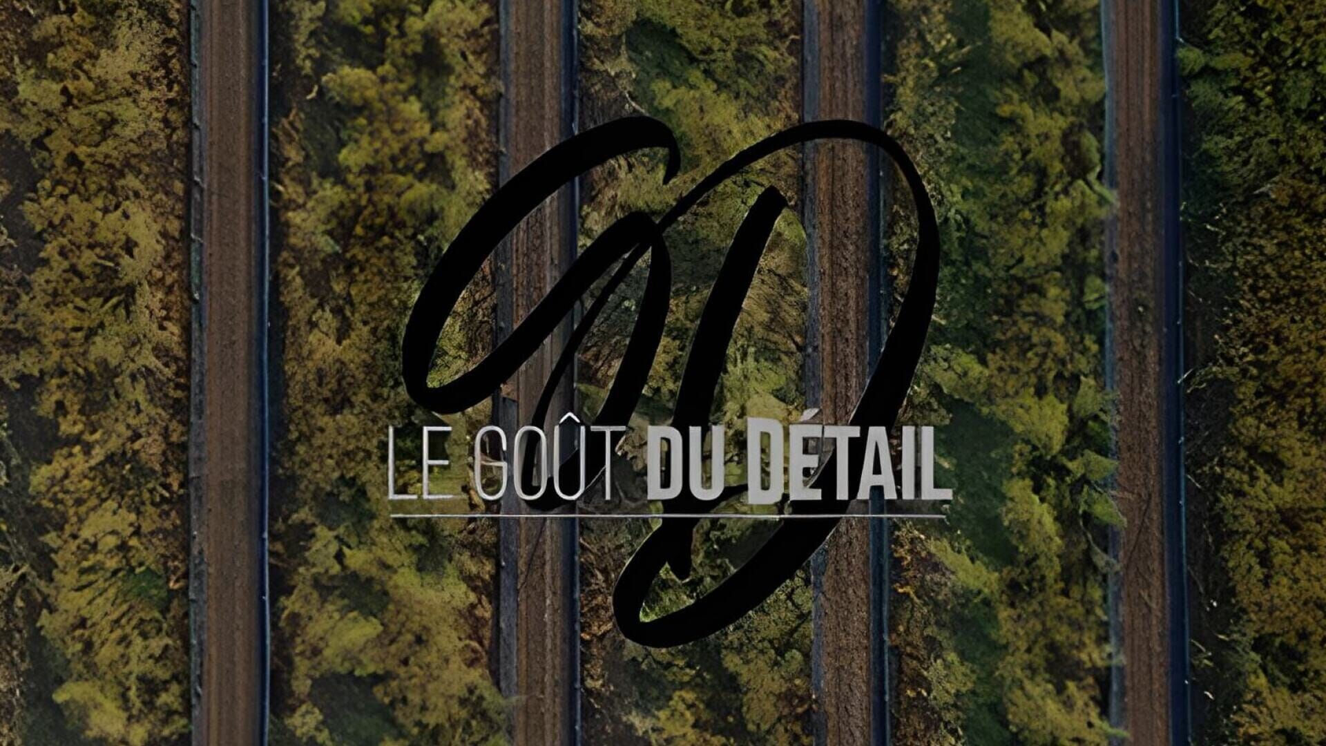 Vignette du programme télé Le goût du détail