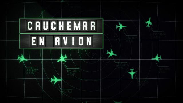 Vignette du programme télé Les pires accidents : avions - Saison 1