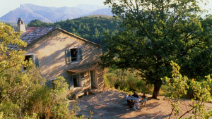 Vignette du programme télé Le château de ma mère
