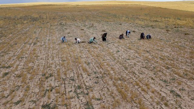Vignette du programme télé Les sanctuaires d'épices
